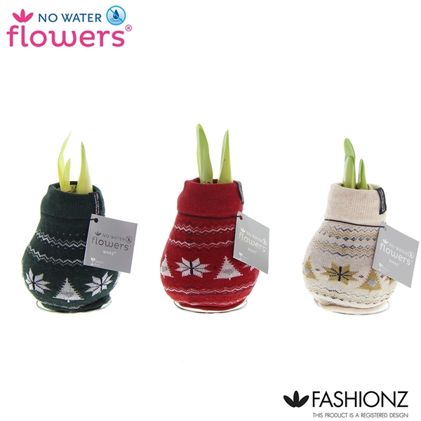 <h4>No Water Flowers® Fashionz Nordic</h4>