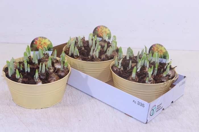 <h4>ARR N TETE A TETE</h4>