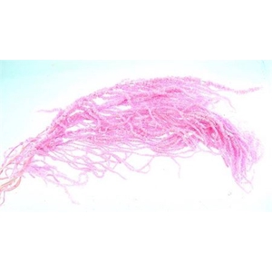 Dried Amaranthus Pink