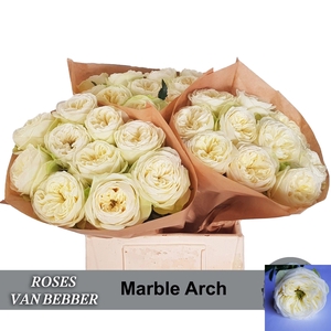 R GR MARBLE ARCH
