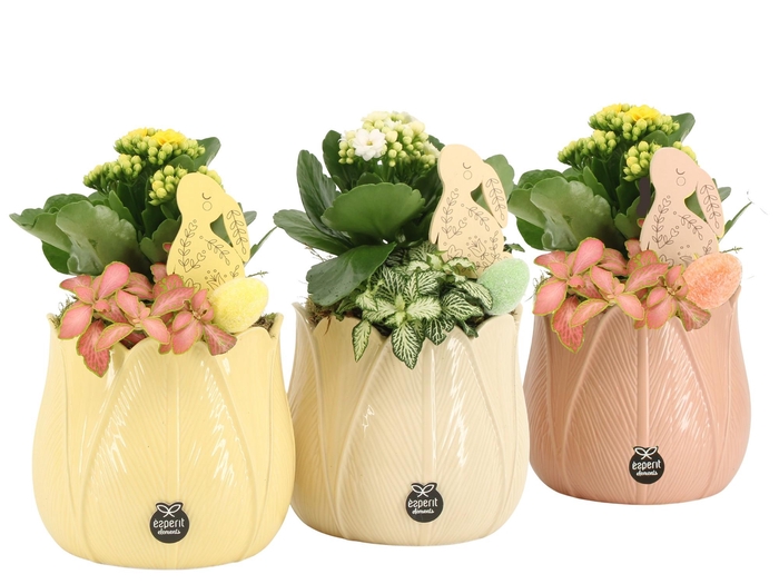 <h4>70910: Easter arrangement</h4>