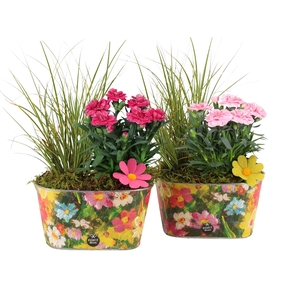 31687: Outdoor summer arrangement