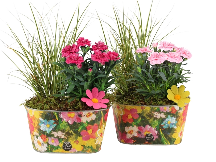 <h4>31687: Outdoor summer arrangement</h4>