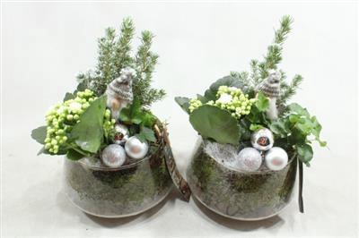 <h4>4403 UFO WIT GNOOM</h4>