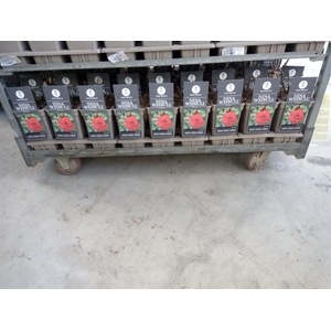 Rosa FL 'Nina Weibull'