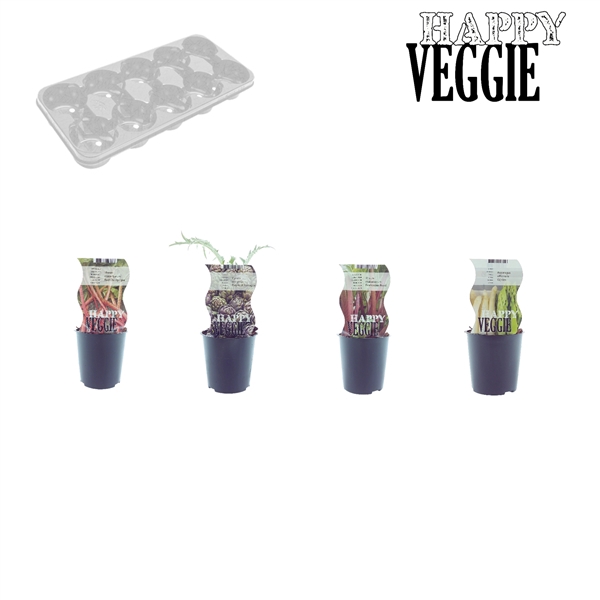 Happy Veggie mix Tray (120027)