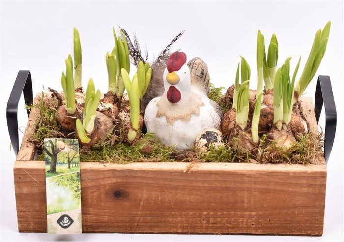 <h4>Hout dienblad metal greep 30x15cm</h4>