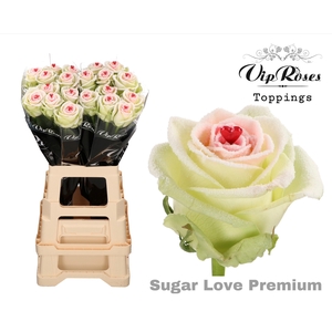 R GR SUGAR LOVE PREMIUM x20