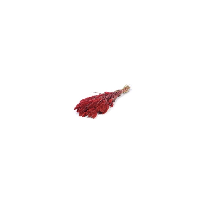 <h4>.Setarea red</h4>