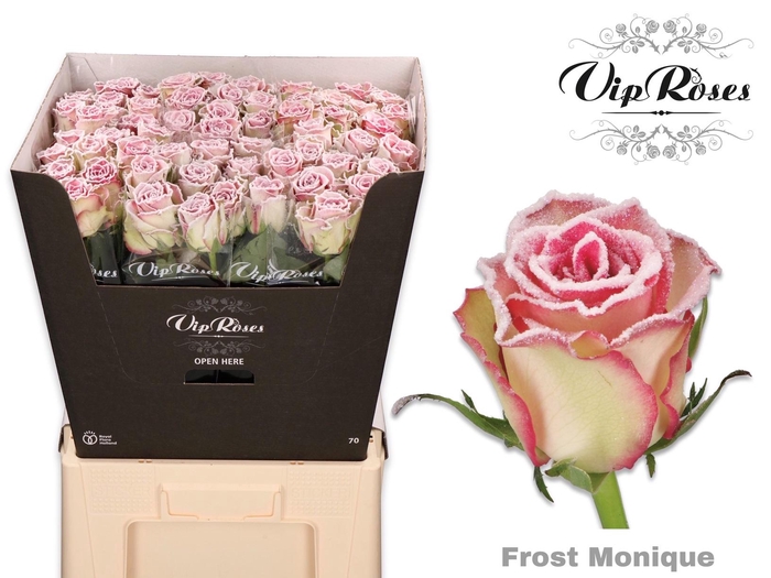 <h4>R Gr Ov Klb H%</h4>