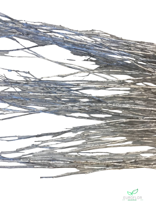 BROWNY STICK SILVER 250 GR