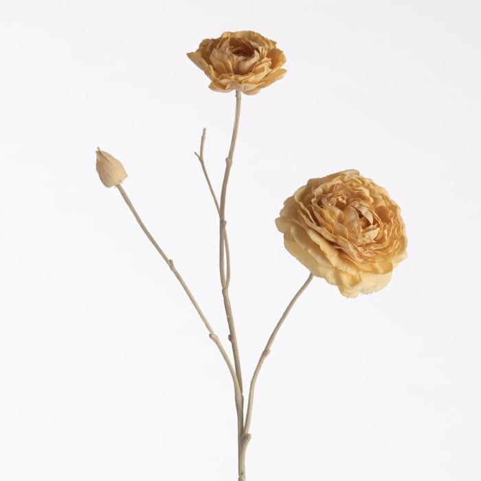 <h4>AF Ran x3 Dried L61cm Yellow</h4>