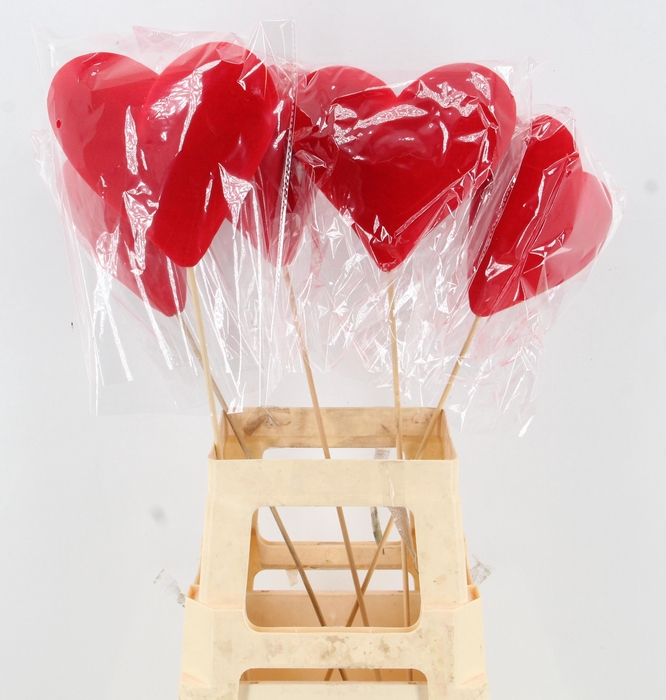 <h4>HARTJE OP STOK H%</h4>