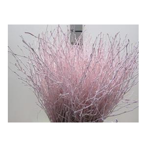 BERK LICHT ROSE L60