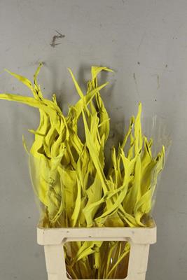 <h4>Df Strelitzia Leaf Yellow</h4>