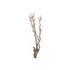 Syringa Branch Super Floessel