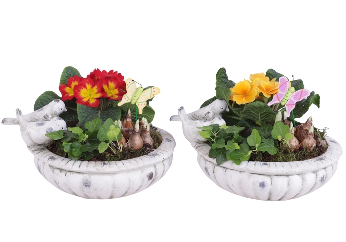 <h4>Early Spring Arr. Outdoor Ceramic Bird Bath Ø28cm 3PP</h4>
