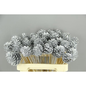 Stick Pine Cone Silver