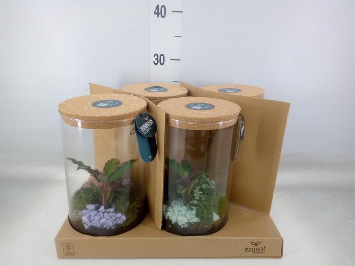 <h4>Arr.    Planten  H%</h4>