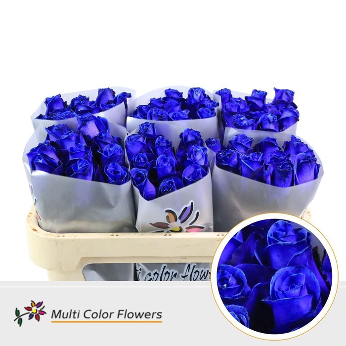 Rosa Gr. Blauw Donker