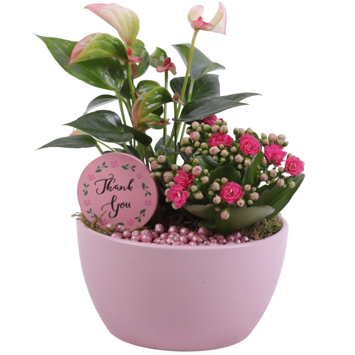 <h4>Mothersday Arr. Indoor Ceramic Bowl Round Pink Ø16cm 2PP</h4>