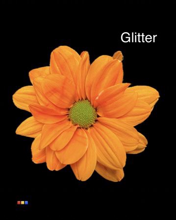 <h4>Chr T Chic Orange + Glit Bio</h4>