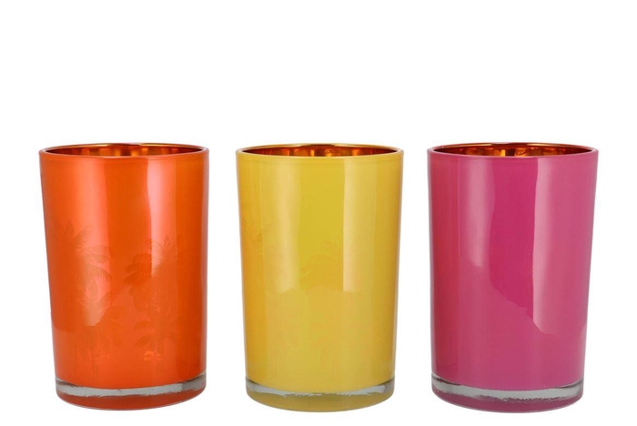 Hilly Dutch Orange Mix T-light Glass Ass 12x18cm Nm