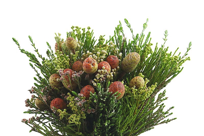 <h4>Bouquet Cone Mix</h4>