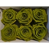 Ro Pres Classic Green Army