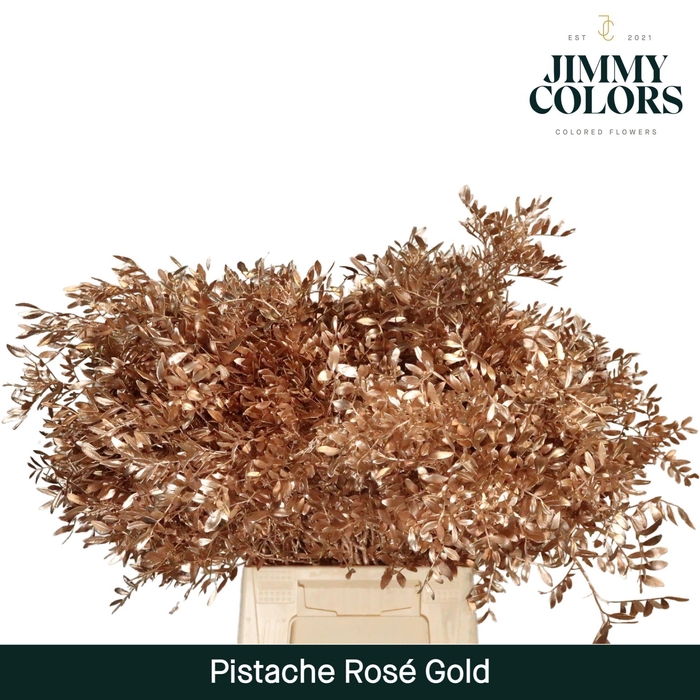 <h4>Pistache L45 Metallic rose gold</h4>