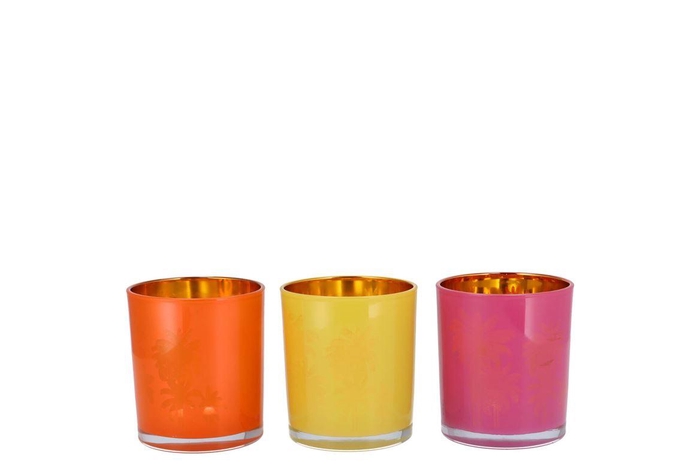 <h4>Hilly Dutch Orange Mix T-light Glass Ass 7x8cm Nm</h4>