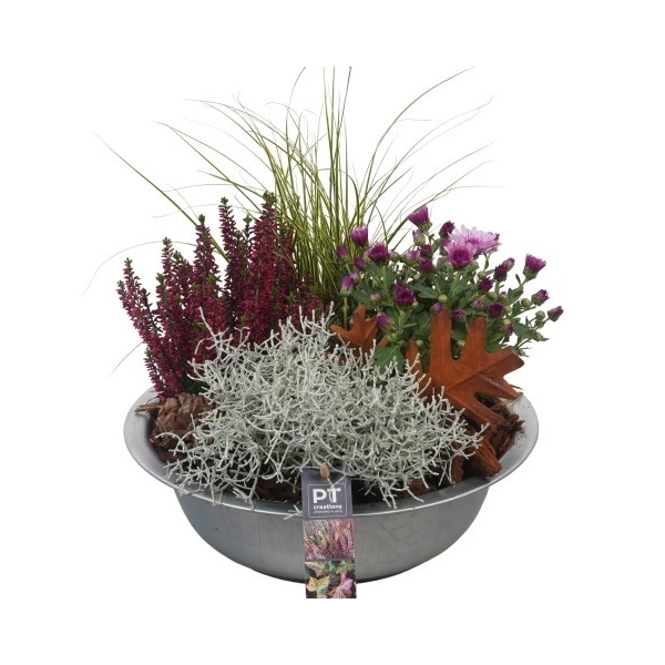 <h4>PTHO4072 Arrangement Herfst Outdoor in metalen schaal</h4>