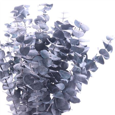 <h4>True Blue Gepreserveerd Blauw</h4>