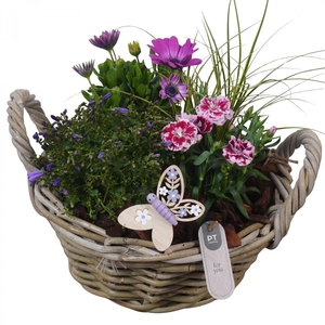PTPP7027 Arrangement Patio in rieten mand