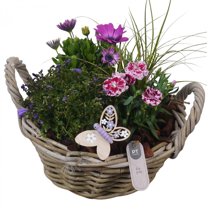 <h4>PTPP7027 Arrangement Patio in rieten mand</h4>