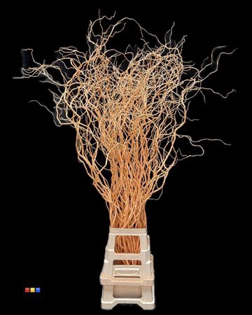 <h4>Salix 130cm Apricot</h4>