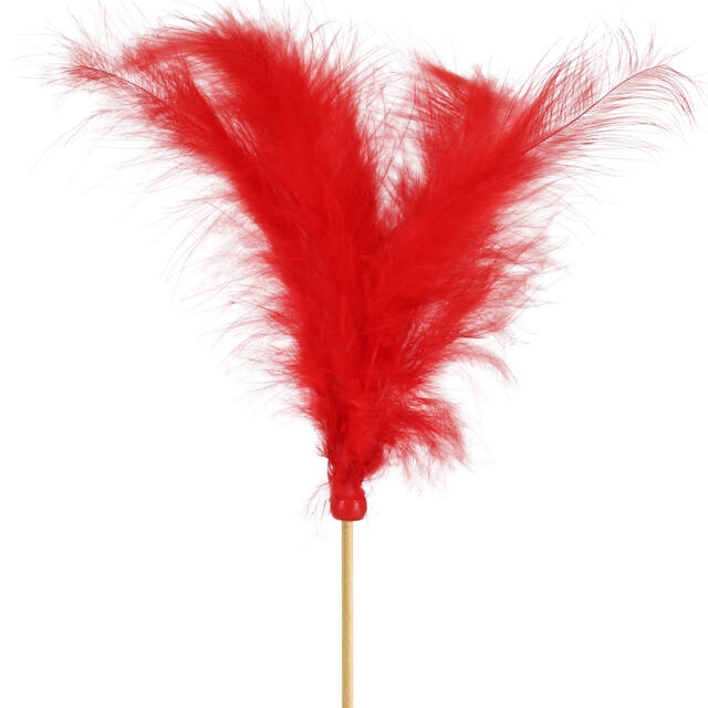 Pick Feathers 10cm+50cm stick red