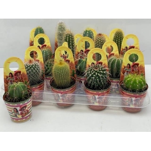 CACTUS GEM