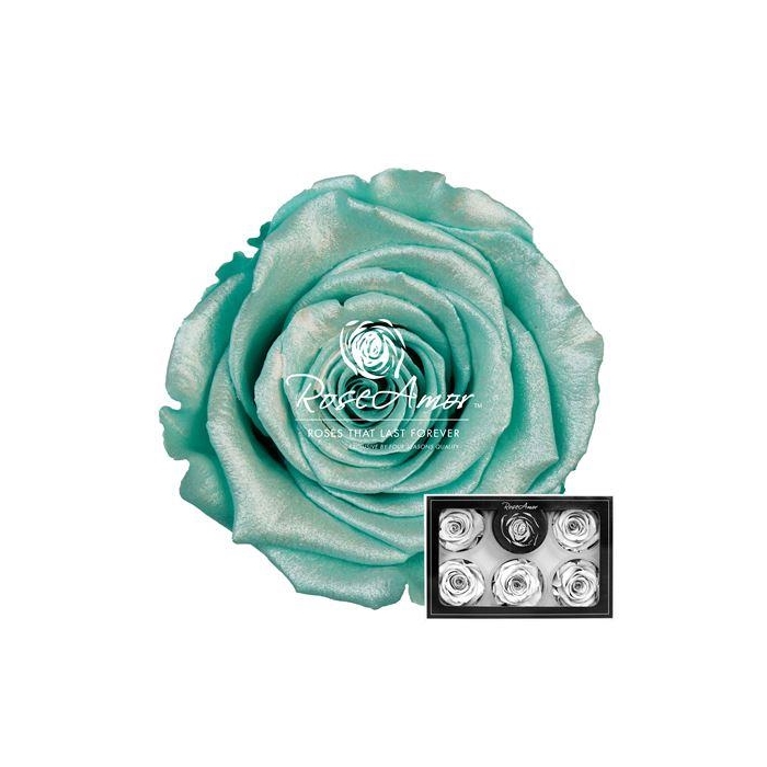 <h4>Xl Satin Tiffany Blu02</h4>