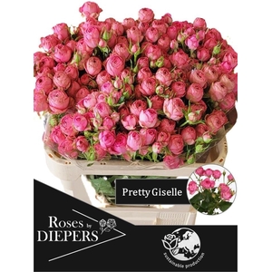 R TR PRETTY GISELLE!