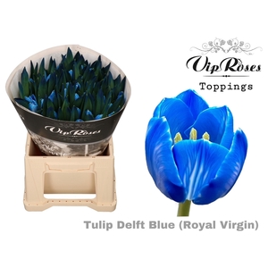 Tu En Rv Delft Blue
