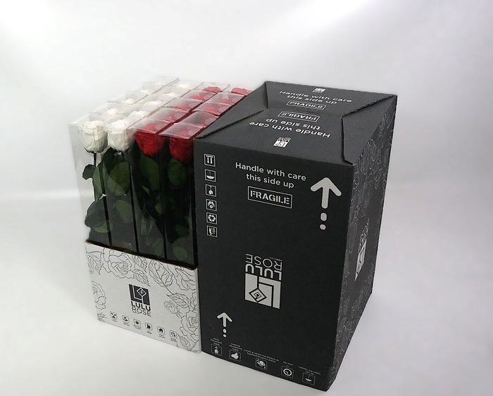 Rosa Preserved Stem 50cm Mix Red White