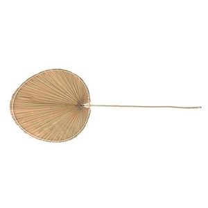 Dried Palm Ovaal Xl Per Stem L115 W45