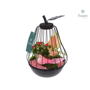 Peer metaal zwart Small met arrangement