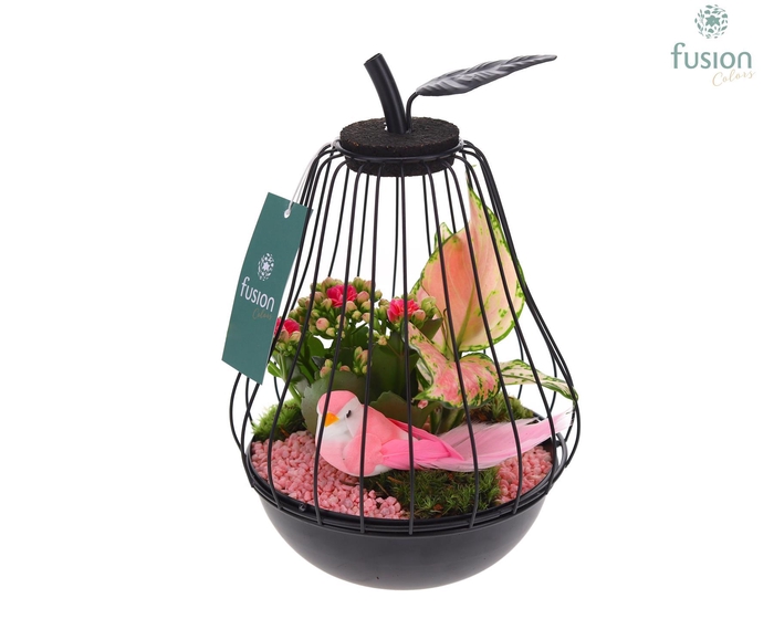 <h4>Peer metaal zwart Small met arrangement</h4>