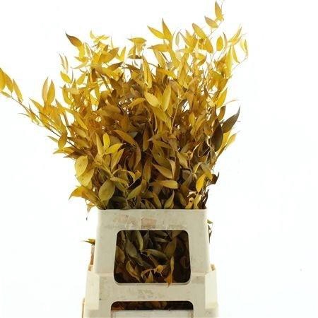 <h4>DECOGROEN OV KLB H%</h4>