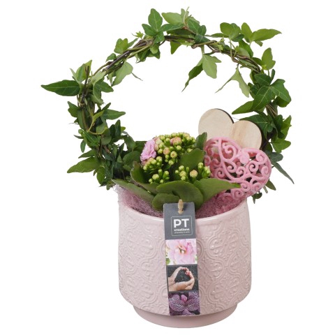 <h4>PTVMB4717 Arrangementen kamerplanten</h4>