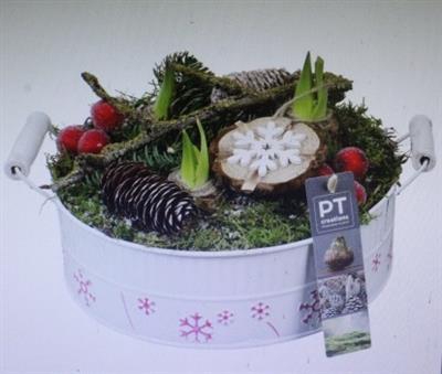 <h4>5872 Amar Wit Zink</h4>