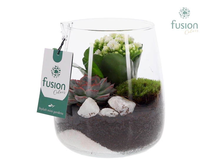 <h4>Glazen vaas met Kalanchoe en Succulent</h4>