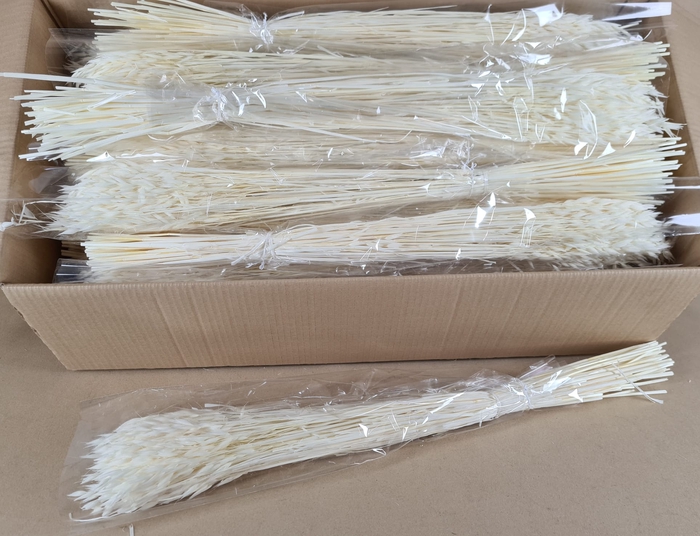 <h4>DF Avena Bleach Bs 100gr Poly</h4>